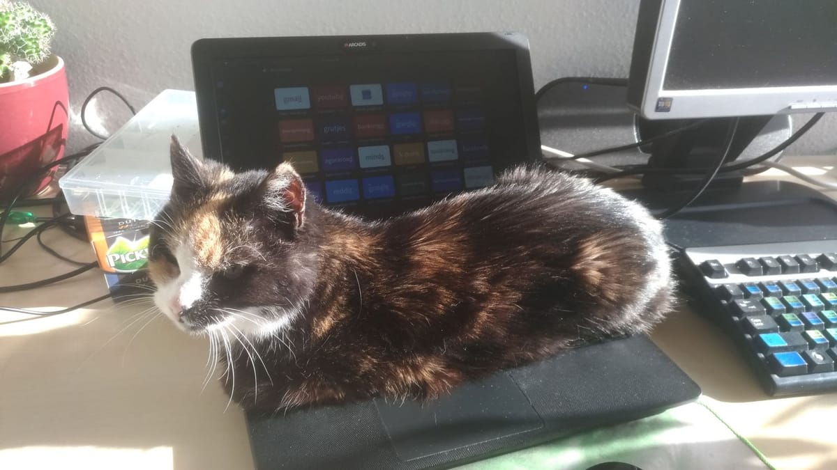 Achtergrond: Techniek voor nerds